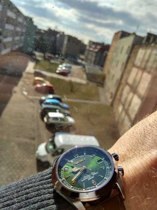 Seiko Alpinist, Sarb017