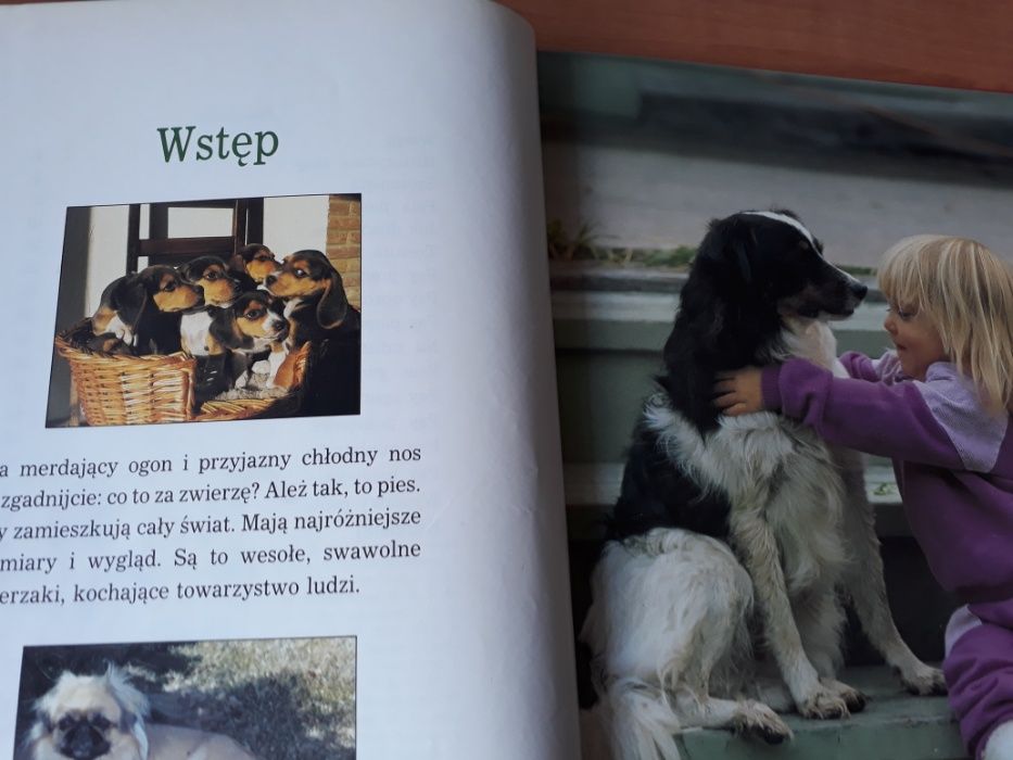 Psy. Dziecięca Biblioteka Przyrody