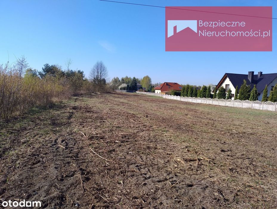 Działka rolno-budowlana w otoczeniu lasu - Widok 2