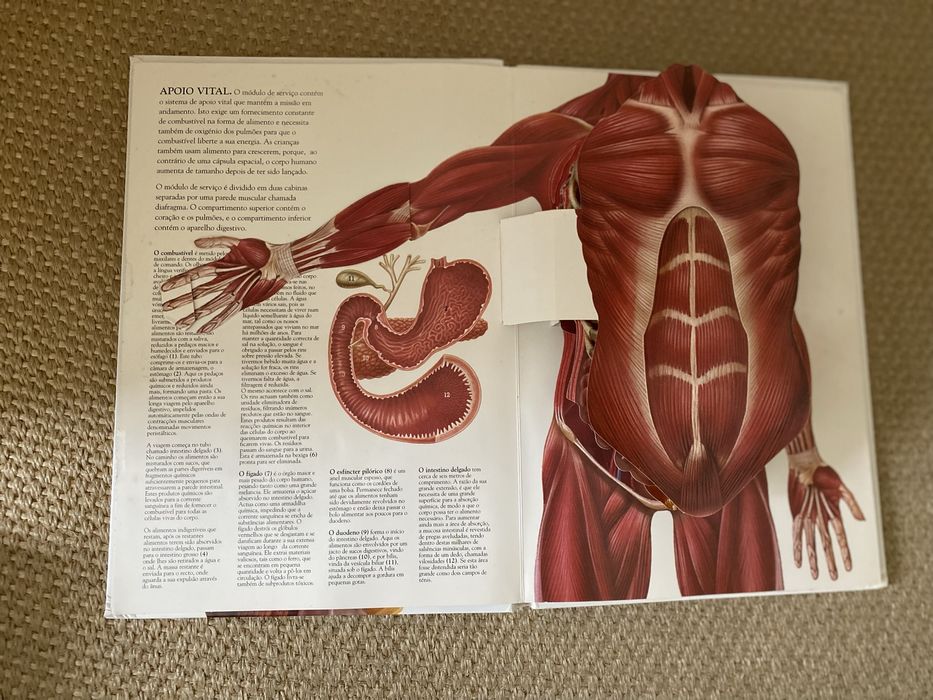Livro - O corpo humano -Jonathan Miller David Pelham