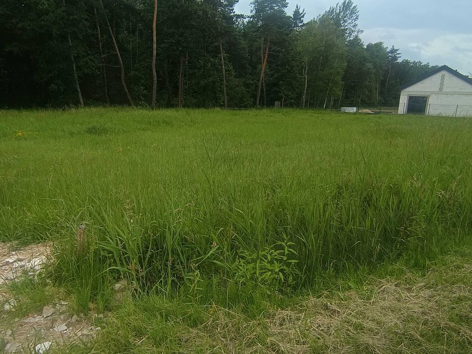 Działki budowlane ( przy drodze publicznej, ul. Niwecka w Porębie ) - Widok 3