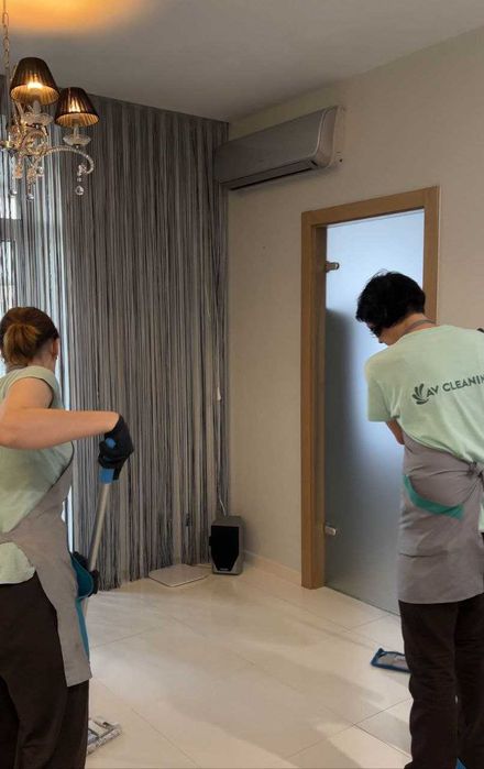 Клининг, Профессиональная химчистка