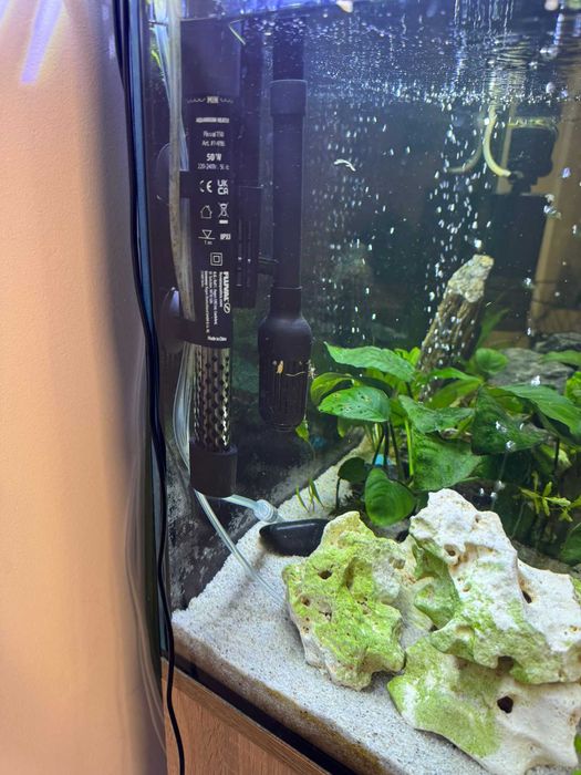 Akwarium z szafka .żywe