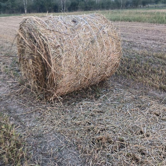 Sprzedam słomę  120