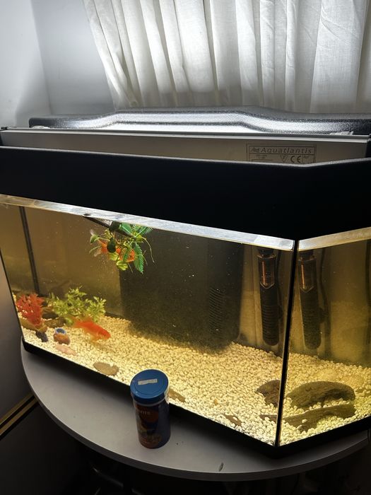 Vendo aquario ja com iluminacao, aquecedor epedras  mais cm inf chat