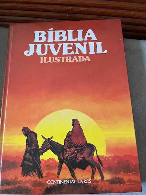 Biblia Juvenil Ilustrada