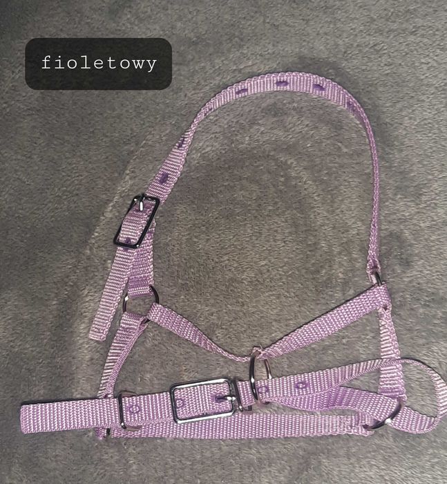 Kantar dla alpak 25 wzorów