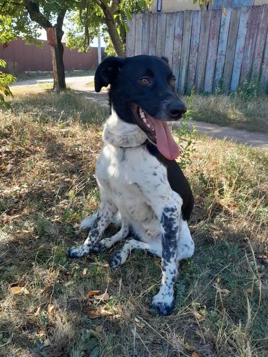 В класну родину!