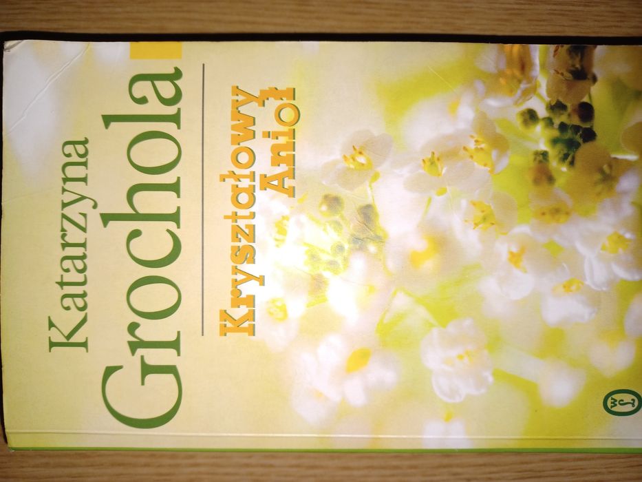 Katarzyna Grochola Kryształowy Anioł