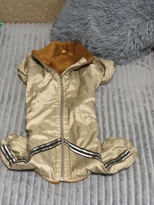 Комбенезон для собачки такси