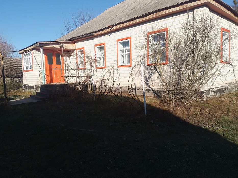 Будинок в селі Балаклея Черкаська область