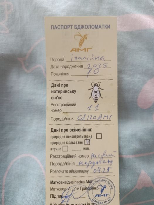 Плідні матки  Бакфаст F1