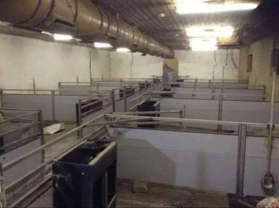 ** Wygrodzenia Przegrody dla Tuczników Jak Nowe PCV i Stal Nierdzewna