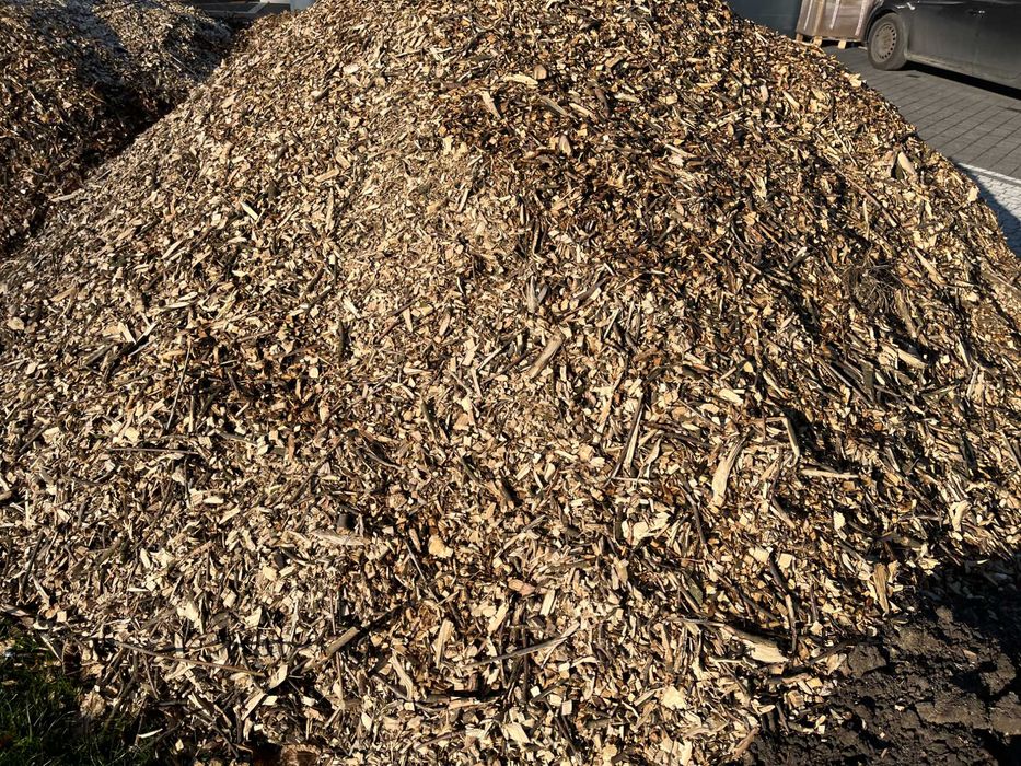Zrębka trociny do ściółkowania na rabaty ścieżki, świeża, b. ładna