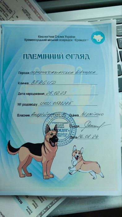 Вязка собаки Алабая