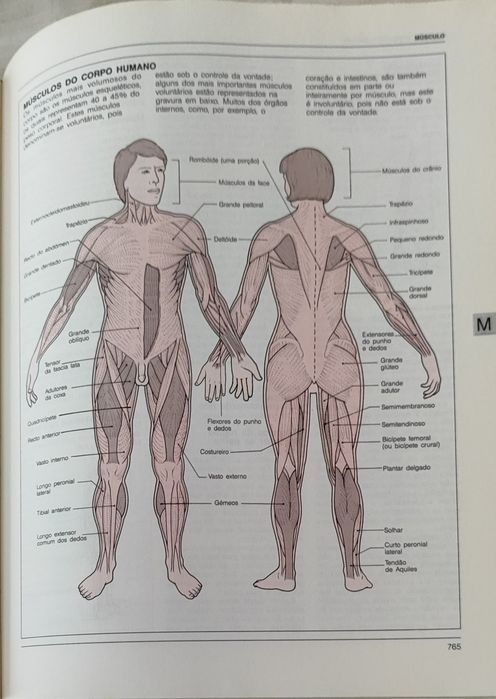 Enciclopédia de Medicina – Reader’s Digest (2 volumes)