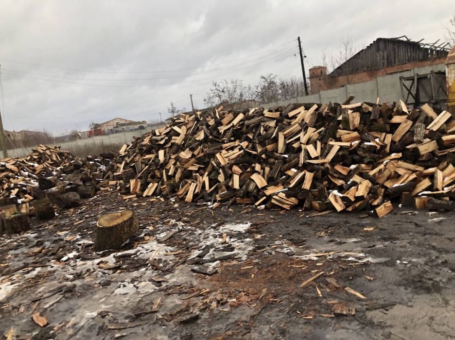 Дрова дуб колотый/Без посредников