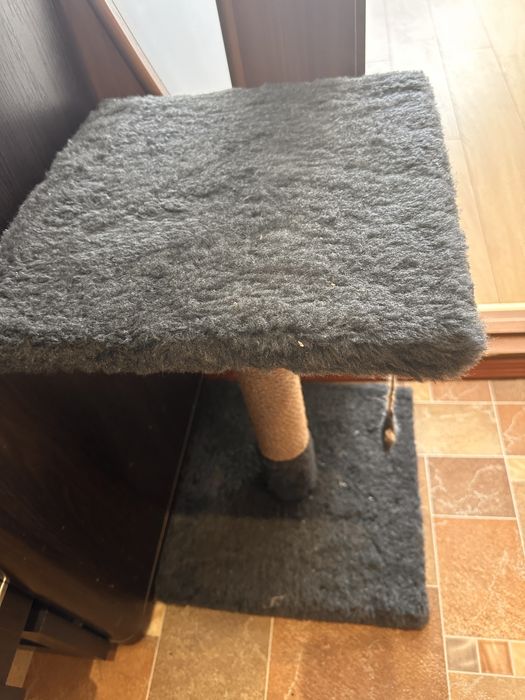 Кігтеточка для котиків