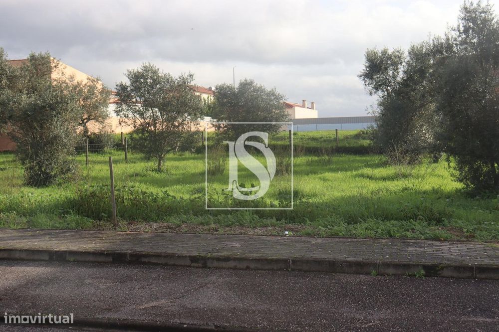 Terreno  Venda em Montalvo,Constância