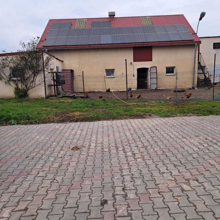 Sprzedam gospodarstwo rolne