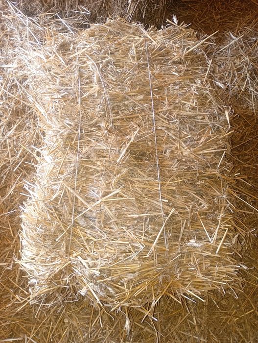 Sprzedam słomę w kostkach 2025