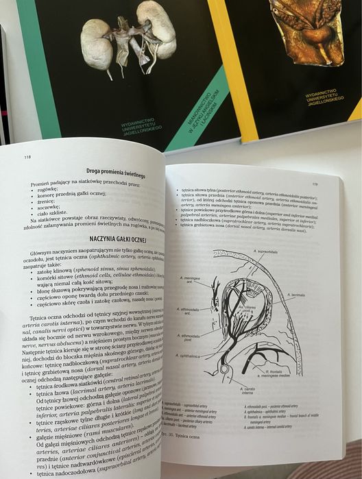 Anatomia Andrzej Skawina. Wszystkie 8 tomów, w tym 6 nowych 2 używane