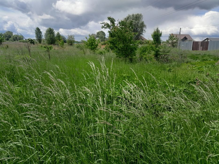 Продаж земельної ділянки 12 соток, с.Демидів, Вишгородський район, Київська область