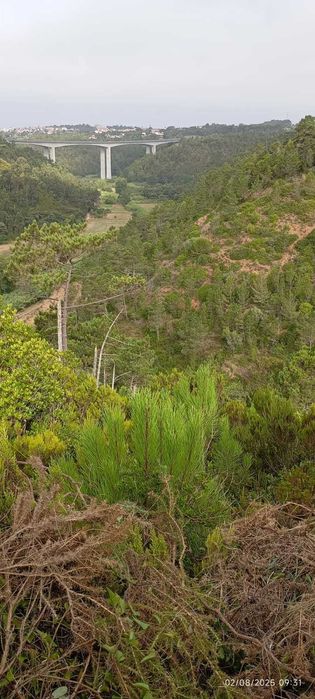 Terreno Rústico com 2.875 m² em Alto Famoes, Mafra.