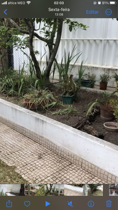 Limpeza de terreno