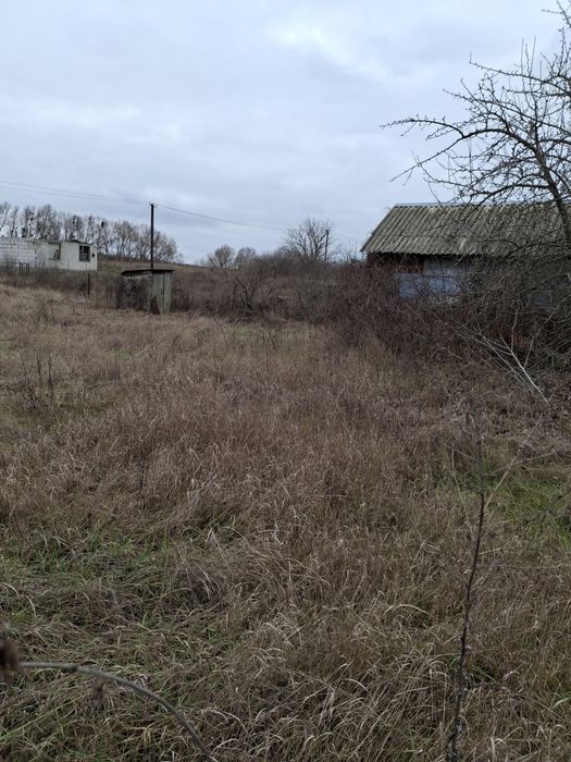 Продам дачний будинок в Чорнявці