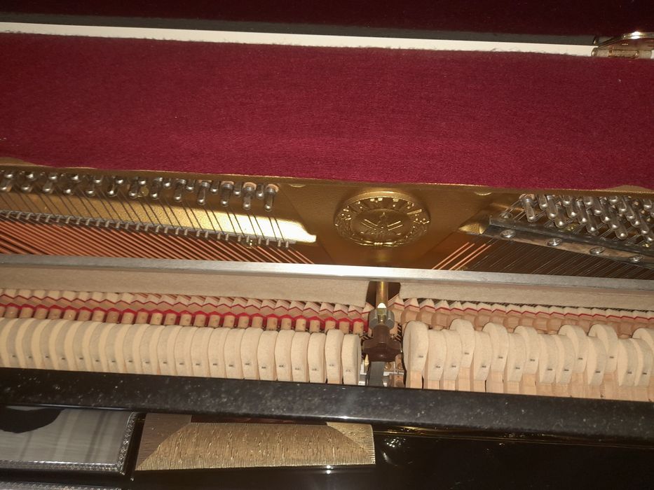 Piano Yamaha C-113 TPE