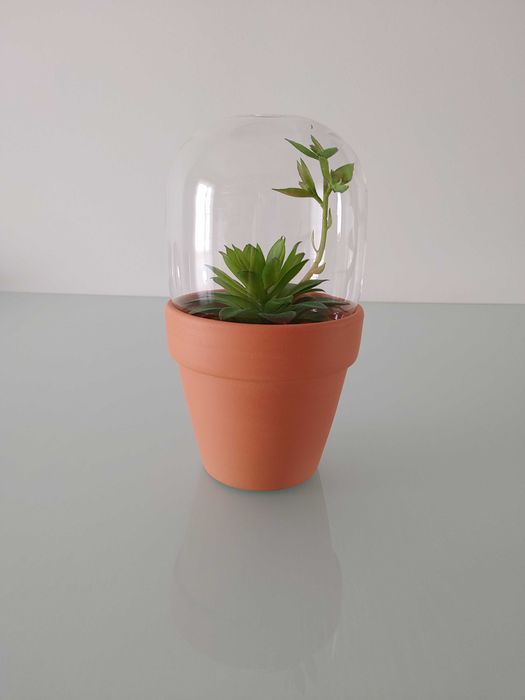 Vaso terracota com redoma vidro