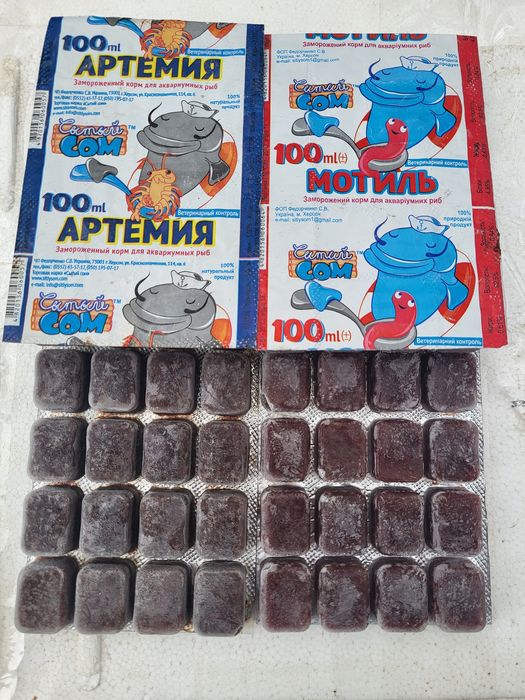 Мотиль , Артемія.