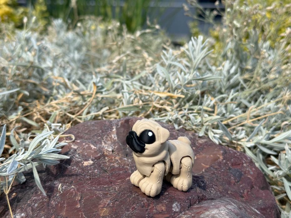 Mini Mops 3D – ruchoma, przegubowa mini figurka psa, Minimals, zabawka, pies