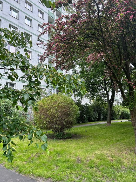 Rakowiec, ul. Majewskiego Skorochód 46m 2/10p 3 pok. Loggia
