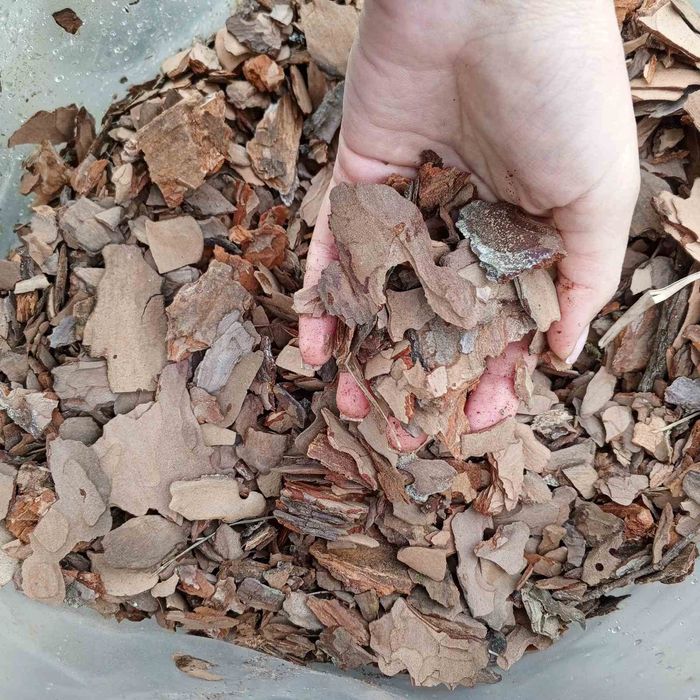 Соснова кора. Кора . Мульча соснова для рослин..