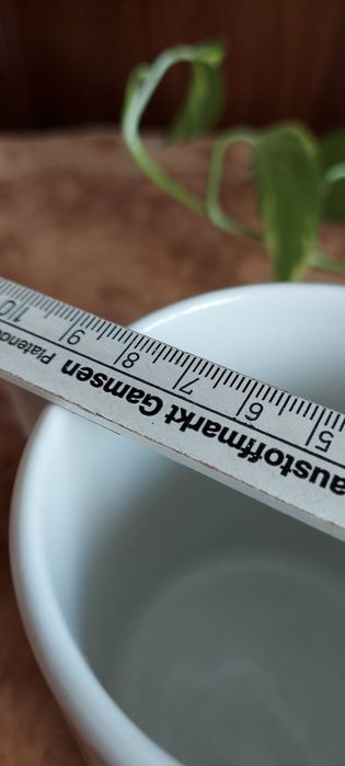 Tim Hortons - Kubek - Hokej