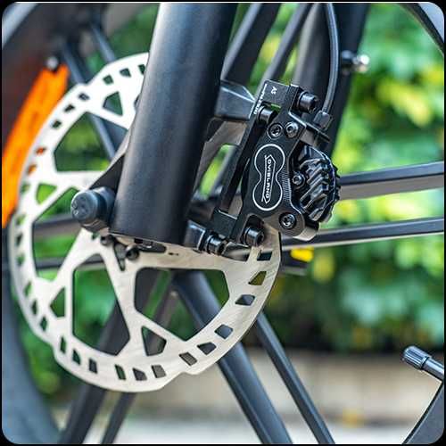 Bicicleta Elétrica Fiido T2 Longtail - NOVA