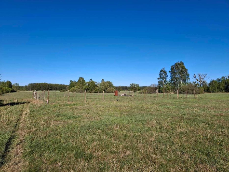 Sprzedam działkę budowlaną 1000m2 w Kurianach. 170 zł m2