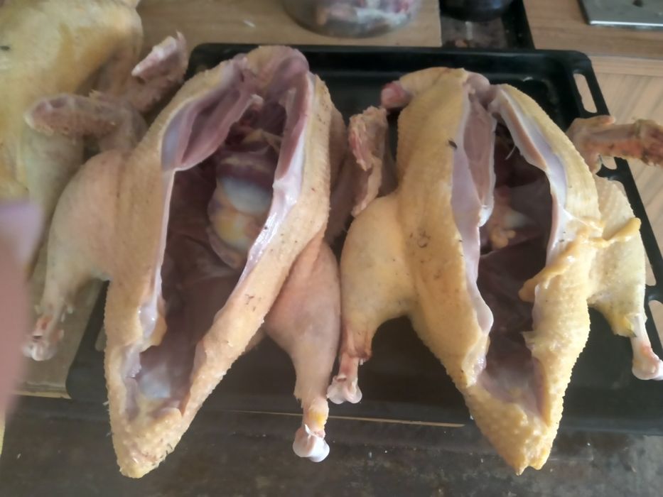 Sprzedam tuszki kaczek