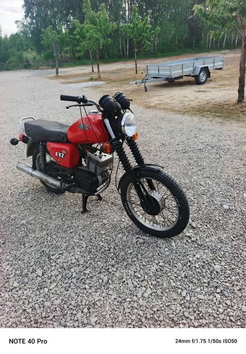 Mz