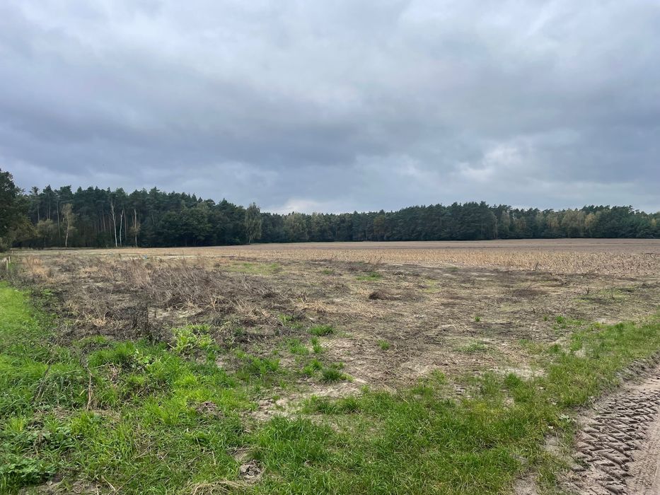 Działka budowlana o powierzchni 980m Godziesze Wielkie - Widok 3