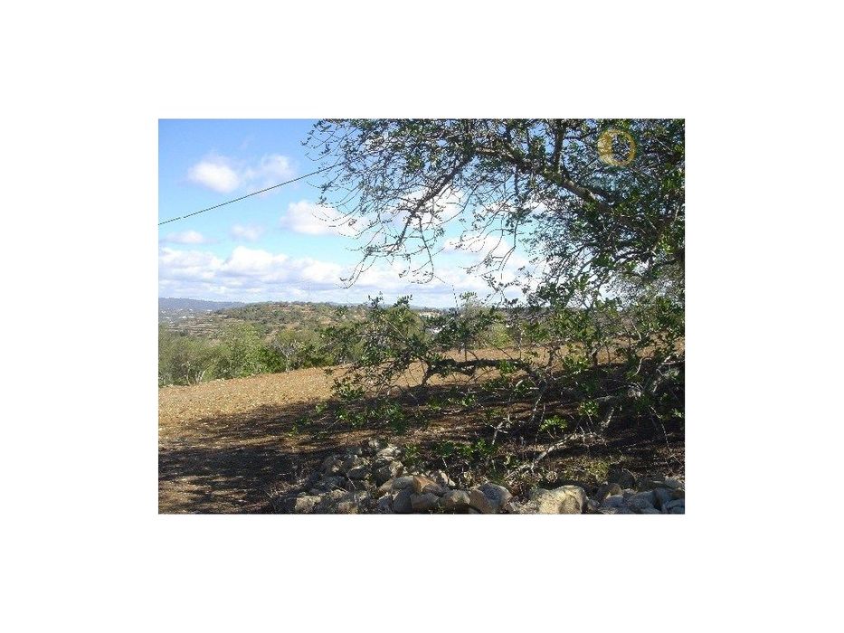 Terreno com bons acessos