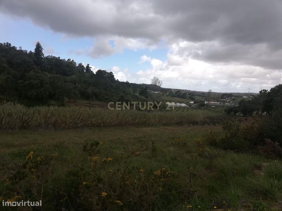 Agricultural Land in the Western Zone