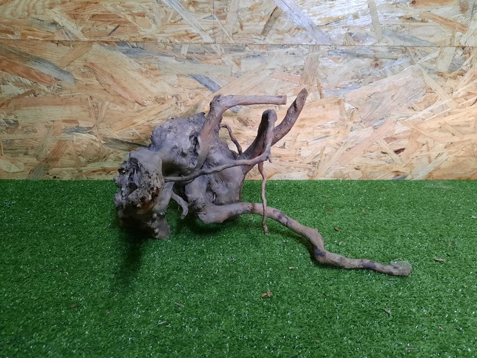 Korzeń do akwarium Red Moore Wood nr 833 o wymiarach 36/35/20