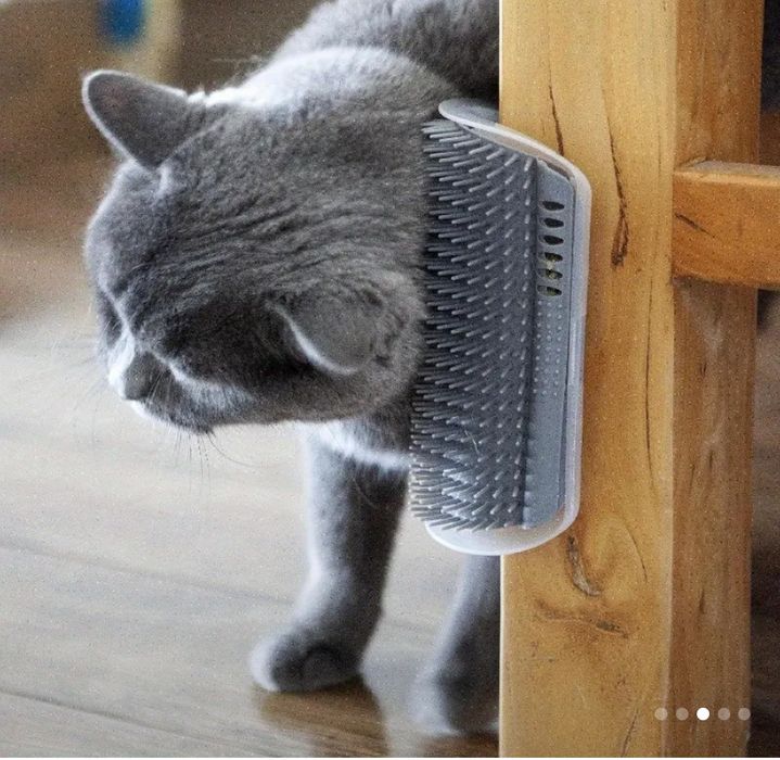 Гребінець для котика, новий