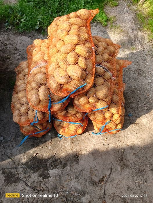 Ziemniaki z dostawą vineta