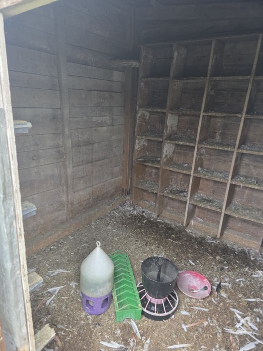 Gołębnik gotowy do użytkowania