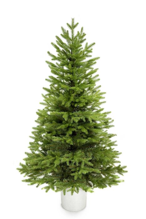 Choinka sztuczna gumowa świerk naturalny PE w doniczce 160 cm jak żywa