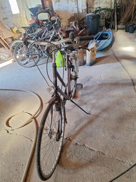 Bicicleta holandesa